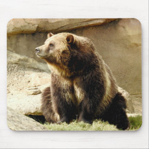 Série animal de Mousepad - urso de urso