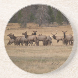 Série Animal — Elk na Porta copos Selvagem