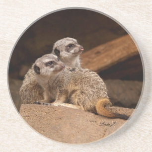 Série Animal — Meerkats na Porta copos da Guard
