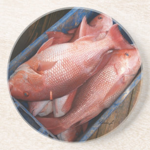 Série Animal — Porta copos de Peixe de Instant