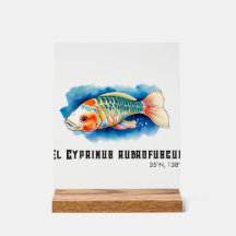 Série Aquarela: Peixes Koi