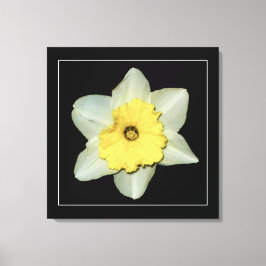 'Série Daffodil, Imagem 3' Impressão em Tela Enrol