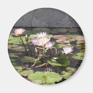 Série de Buquês da Natureza: Imã de Verão