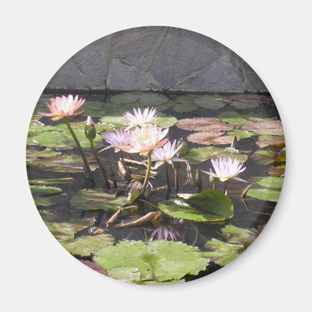 Série de Buquês da Natureza: Imã de Verão (Frente)