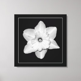 'Série de Narcisos, Imagem 2' Impressão em Tela En