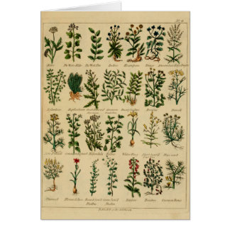 Série erval do cartão do vintage - 4