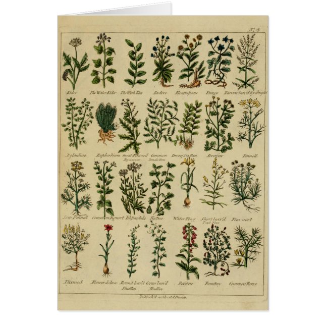 Série erval do cartão do vintage - 4 (Frente)