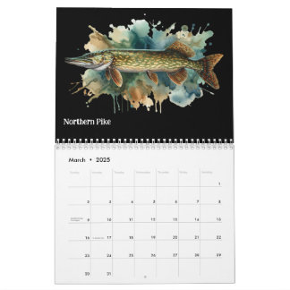 Série Watercolor: Calendário Fish Aura 3