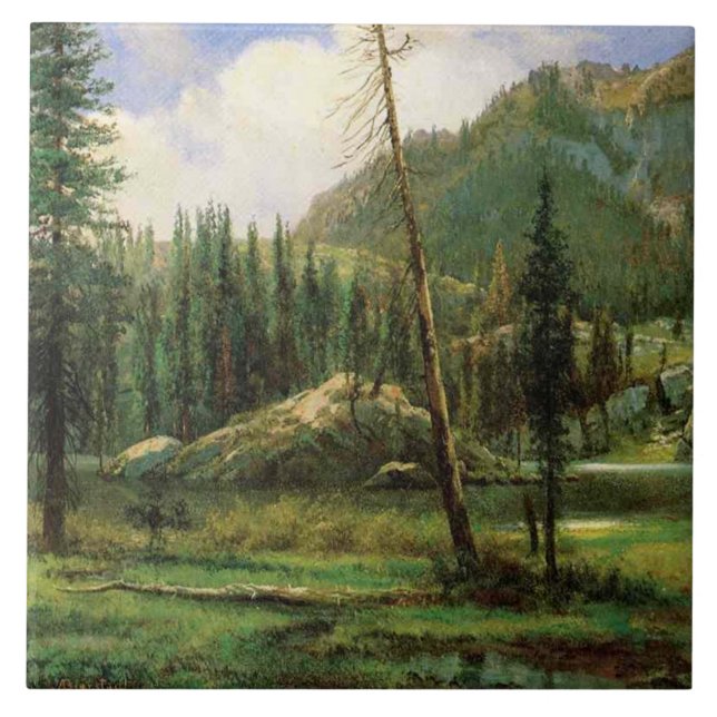 Serra Nevada (Woodland Americana) (Frente)