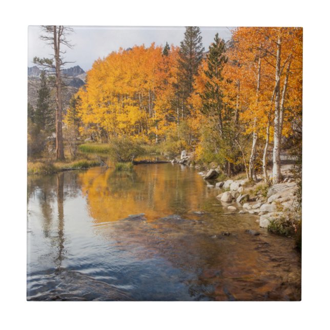 Serra Oriental, Bispo Creek, Saída da Califórnia (Frente)