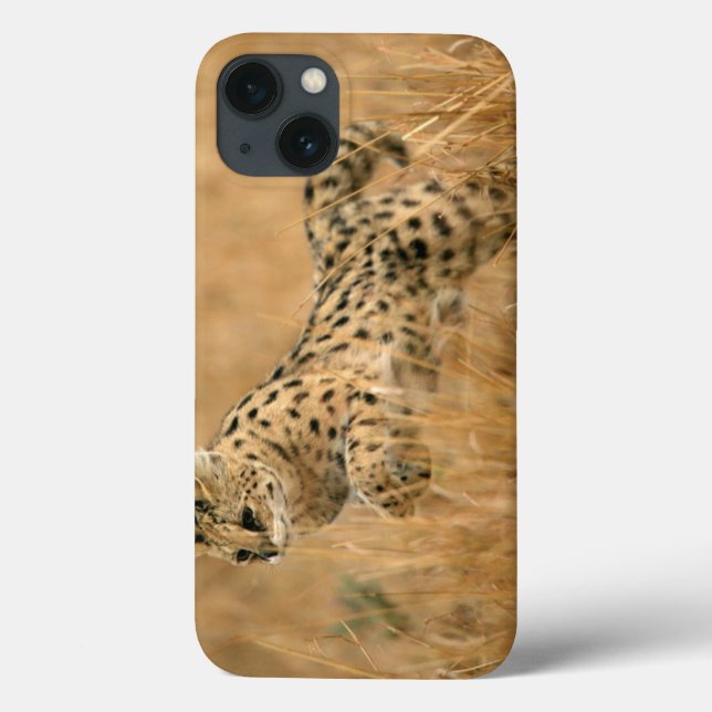 Serval (Leptailurus Serval) Saltando (Verso)