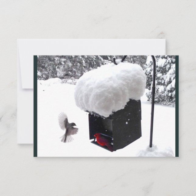 Serviceman, Postman, UPS, FedEx, Cartão de Sugestã (Frente)