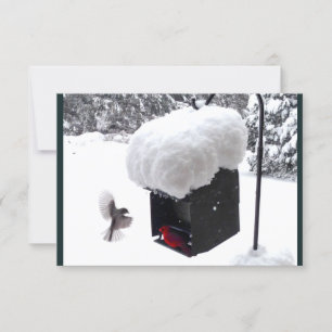 Serviceman, Postman, UPS, FedEx, Cartão de Sugestã