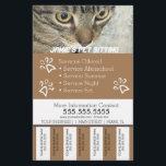 Serviços de Pet Empresa Tiras de Rasgo de Panfleto<br><div class="desc">Panfletos Modernos para Empresa de Cuidado de Animais</div>