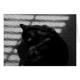 Sesta do Noontime/Noir, cartão