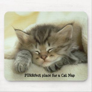 Sesta Mousepad do gato