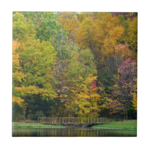 Sete Primaveras Call Bridge II Autumn Landscape