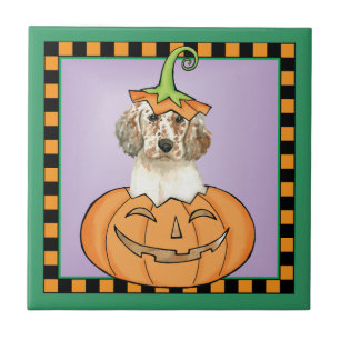 Setter Inglês Halloween