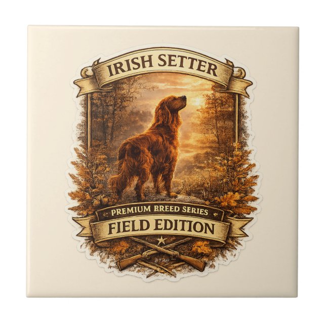 Setter Irlandês (Frente)
