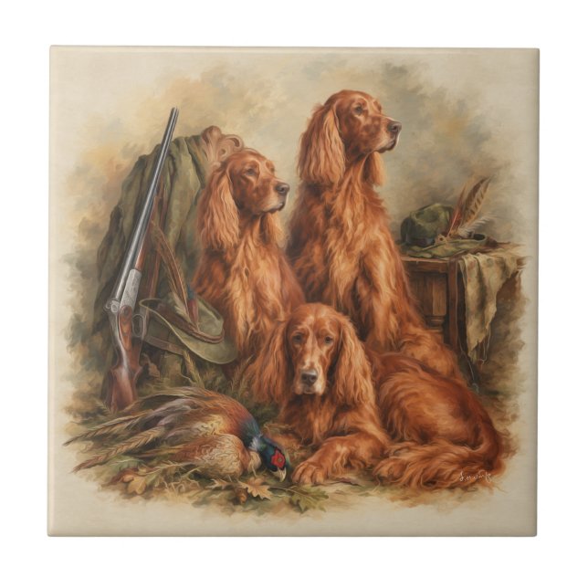 Setter Irlandês, Arte  (Frente)