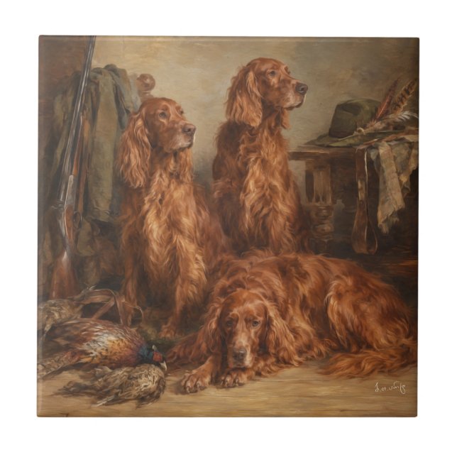 Setter Irlandês, Arte (Frente)