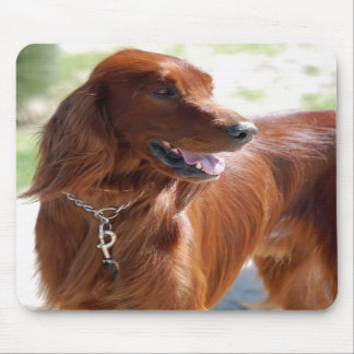 Setter irlandês Mousepad