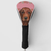 Setter Vermelho Irlandês