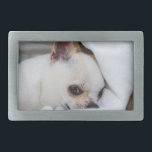 Seu cachorrinho de estimação foto personalizada ch<br><div class="desc">Seu cachorro de estimação,  foto personalizada chihuahua. Personalize-o com a sua foto de animais de estimação,  cães,  gatos. Bonito presente personalizado para amantes de os animais. cão,  cachorrinho,  animal,  foto personalizada,  fofo,  animais de estimação,  chihuahua</div>
