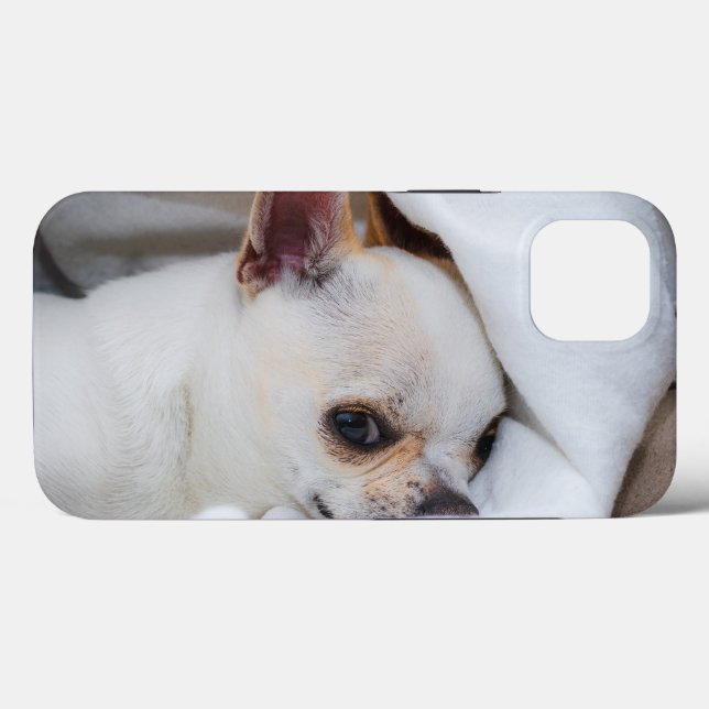 Seu cachorrinho de estimação foto personalizada ch (Verso (horizontal))