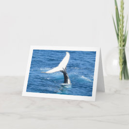 Seu Cartão com fotos De Pesca