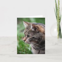 Seu Cartão de Nota Personalizado