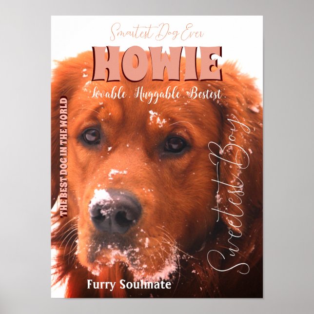 Seu famoso Poster Pet (Frente)