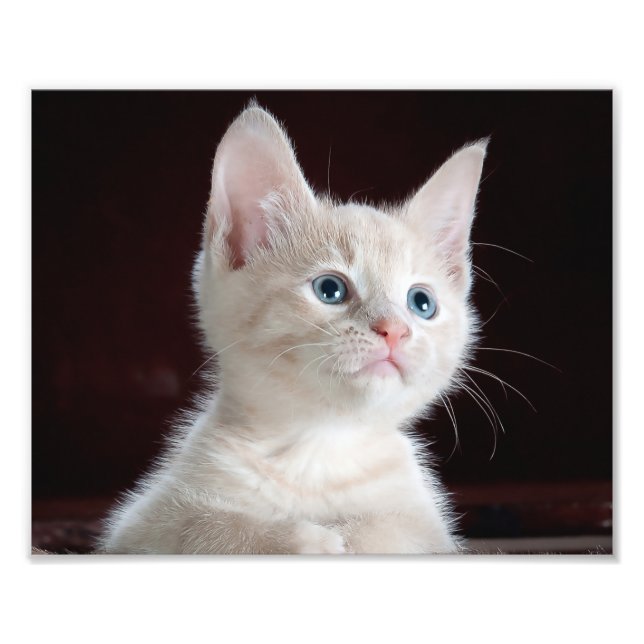 Seu Impressão personalizado de fotos (Frente)