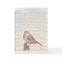 Seu Olhar Está no Pardal Cartão