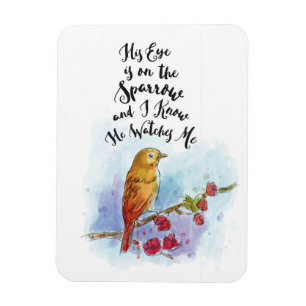 Seu olho está no ímã do pardal