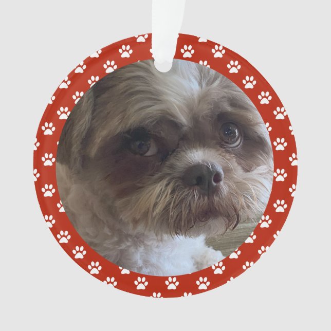 Seu Ornamento Pet (Frente)