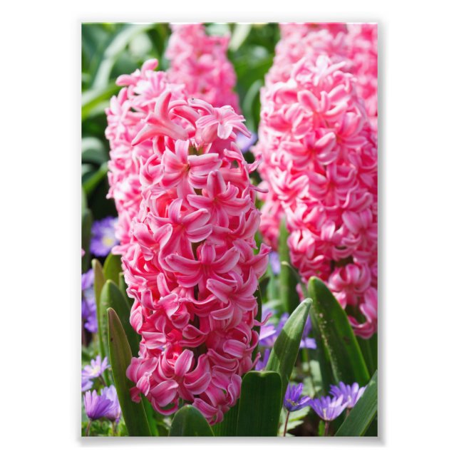 Seu personalizado alargamento de fotos de 5" x 7" (Frente)