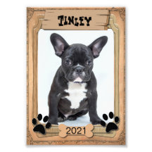 Seu Pet Familiar - Modelo de Fotografia Decorativo