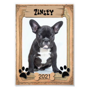 Seu Pet Familiar - Modelo de Fotografia Decorativo