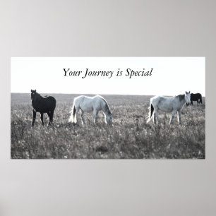 Seu poster da viagem