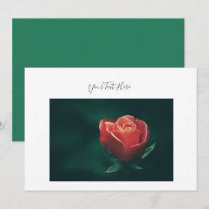 Seu Texto Impressionante Convite de Flor de Rosa V