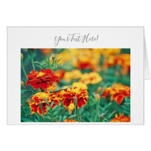 Seu Texto Maravilhosas Flores de Marigold Cartão d