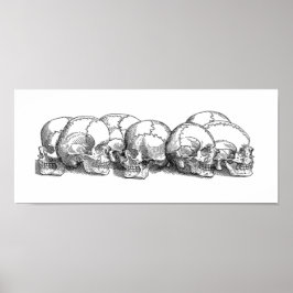 Seven Vintage Skulls Poster