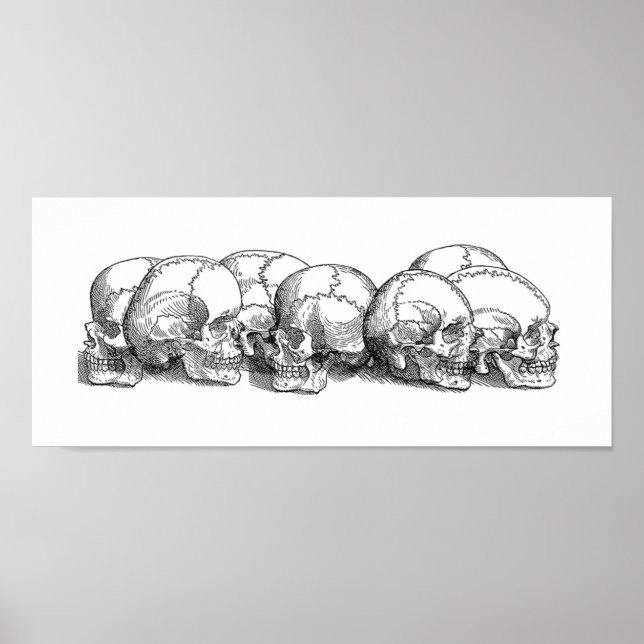 Seven Vintage Skulls Poster (Frente)