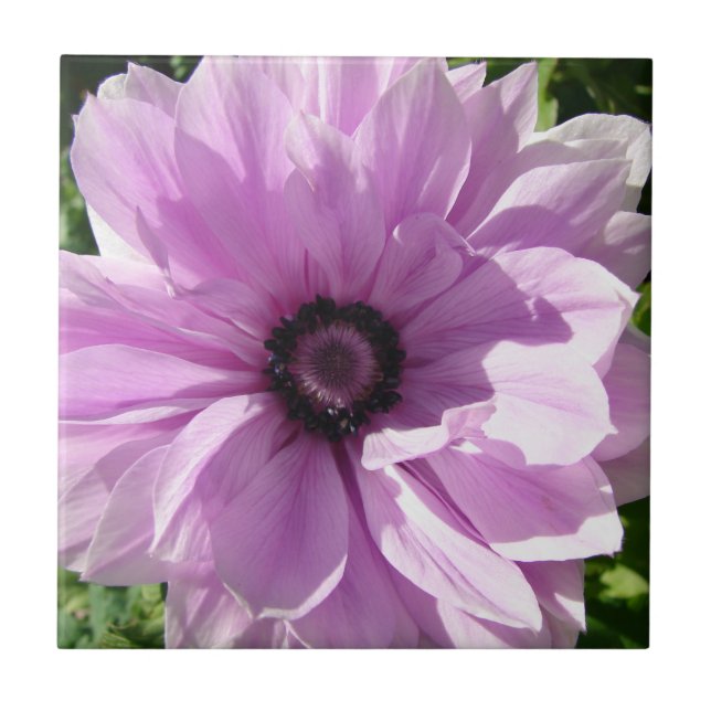 Shabby Primavera floral floral Azulejo cerâmico (Frente)