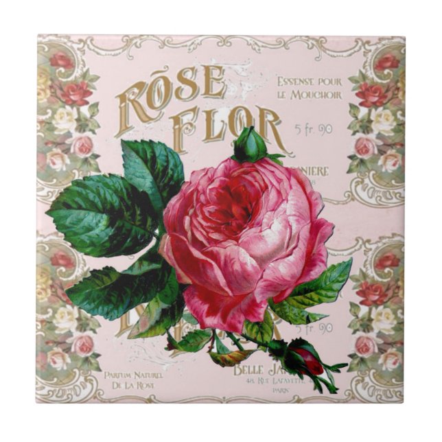 SHABBYCHIC Inglês Rosa vintage rosa (Frente)