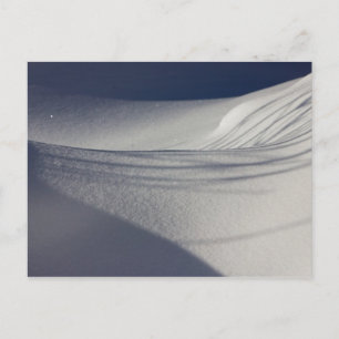 Shadows no cartão postal CC0098 de neve não tocada