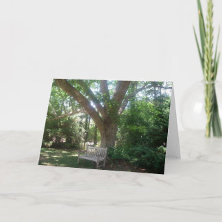 Shady Place para Relaxar Cartão de Saudação