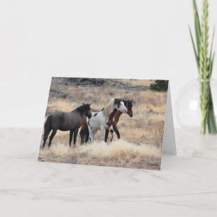 Shaman WildCard Cartões de agradecimentos