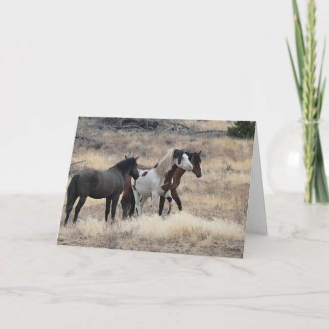 Shaman WildCard Cartões de agradecimentos (Frente)